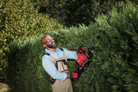 Nożyce Do Żywopłotu Akumulatorowe Honda HHH 36 AXB