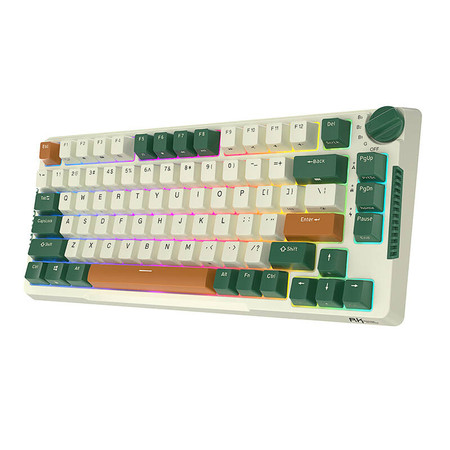 Bezprzewodowa klawiatura mechaniczna Royal Kludge RKH81 RGB, Sky cyan switch (zielona) (QWERTY)