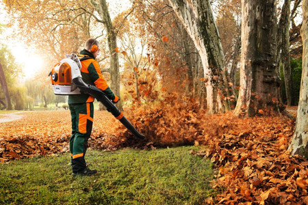 Dmuchawa spalinowa Stihl BR 700