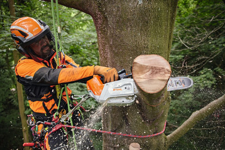 Pilarka akumulatorowa Stihl MSA 220 TC-O 36V 1,7kW