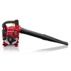 Spalinowa dmuchawa do liści Honda HHB 25E