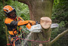 Pilarka akumulatorowa Stihl MSA 220 TC-O 36V 1,7kW