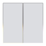 Dotykowy Włącznik Światła ZigBee Avatto TS60-EU-W2 Podwójny TUYA (biały)