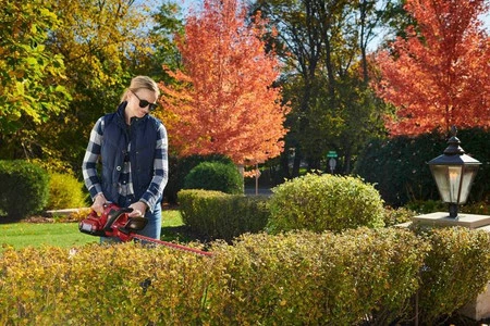 SEKATOR AKUMULATOROWY 60V FLEX-FORCE POWER TORO 51855T