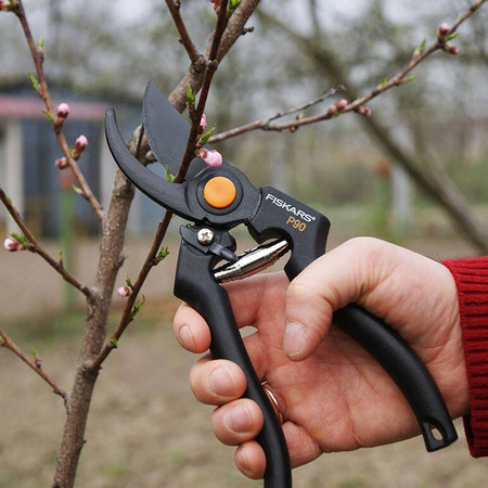 Sekator Profesjonalny P90 23cm Fiskars 1001530