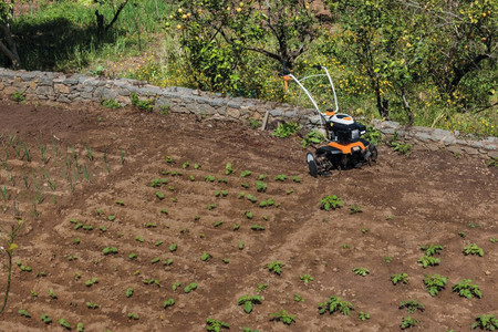 Glebogryzarka spalinowa STIHL MH 685 6241-011-3932