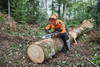 Hełm Stihl DYNAMIC Light 0000-888-0825