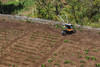 Glebogryzarka spalinowa STIHL MH 685 6241-011-3932