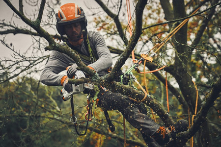 Przecinarka akumulatorowa GTA 40 21,6V zestaw z 2x akumulatorami AS 2 i ładowarką AL 5-2 STIHL GA04-011-6918