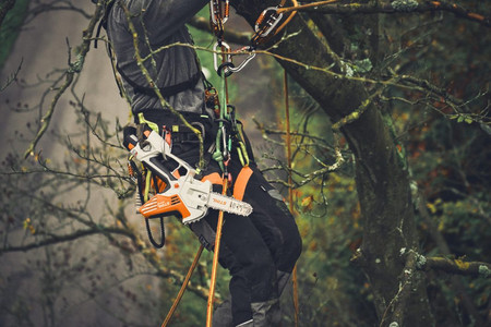 Przecinarka akumulatorowa Stihl GTA 40 21,6V 15cm