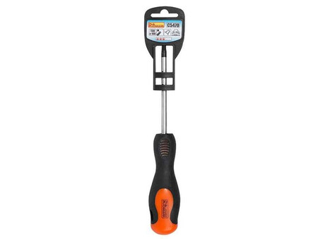  WKRĘTAK TORX T30x100 MM CR-MO Richmann C5470