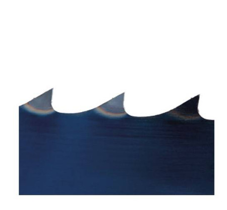 PIŁA TAŚMOWA 2560x10x0.5mm HOLZSTAR 5160041