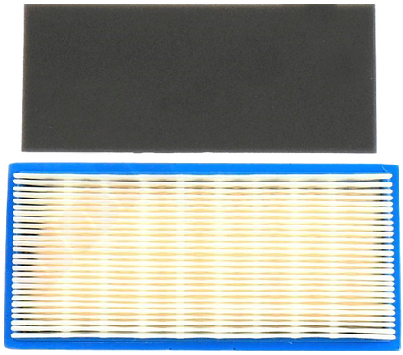 FILTR POWIETRZA BRIGGS DOLPIMA 7102667