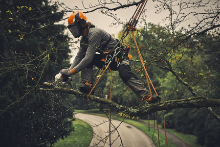 Przecinarka akumulatorowa Stihl GTA 40 21,6V 15cm