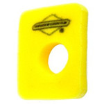 Filtr powietrza Briggs & Stratton 799579