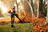 Dmuchawa spalinowa Stihl BR 700