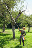 Podkrzesywarka Akumulatorowa STIHL HTA 135 285-405cm