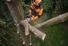 Pilarka akumulatorowa Stihl MSA 220 TC-O 36V 1,7kW