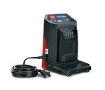 ŁADOWARKA AKUMULATOROWA FLEXFORCE 60V 2A TORO 81802