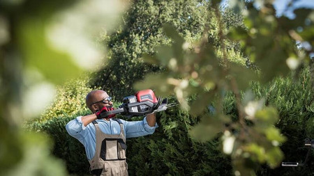 Nożyce Do Żywopłotu 60cm 36V Honda HHH 36 BXB + Rękawice