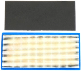 FILTR POWIETRZA BRIGGS DOLPIMA 7102667