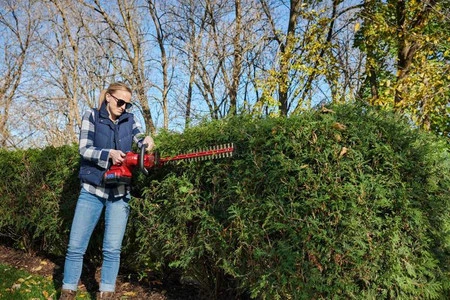 SEKATOR AKUMULATOROWY 60V FLEX-FORCE POWER TORO 51855T