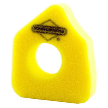Filtr powietrza Briggs & Stratton 794071 