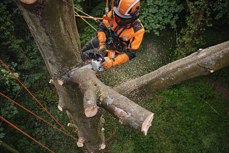 Pilarka akumulatorowa Stihl MSA 220 TC-O 36V 1,7kW