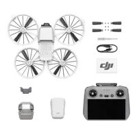 Dron DJI Flip (RC 2)