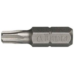 GROTY TORX T20 100szt LUNA 201289204